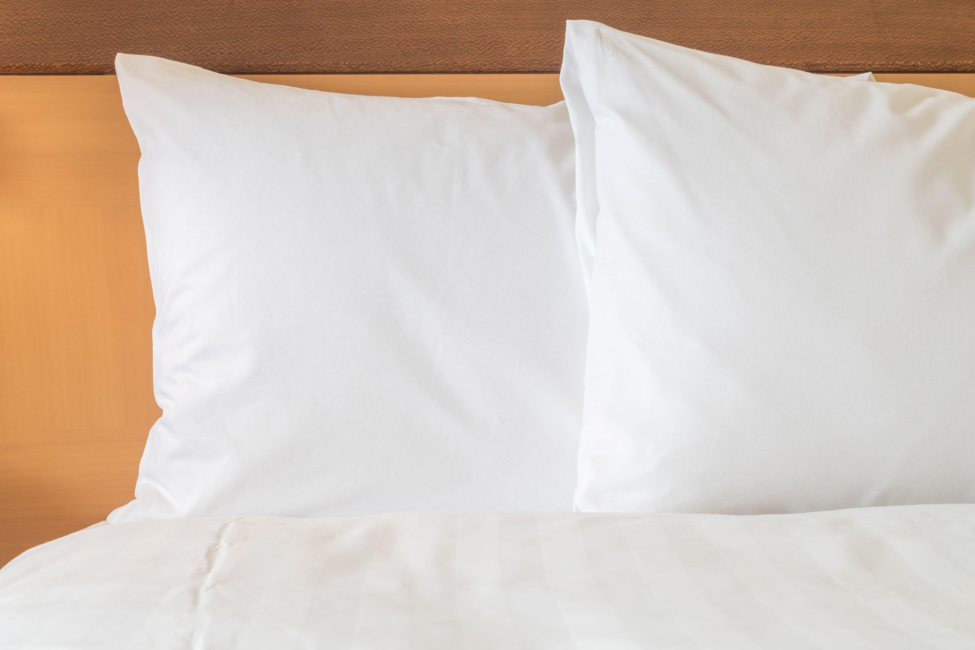 Holiday Inn Express Hotel & Suites Clearwater Us 19 North By Ihg מראה חיצוני תמונה